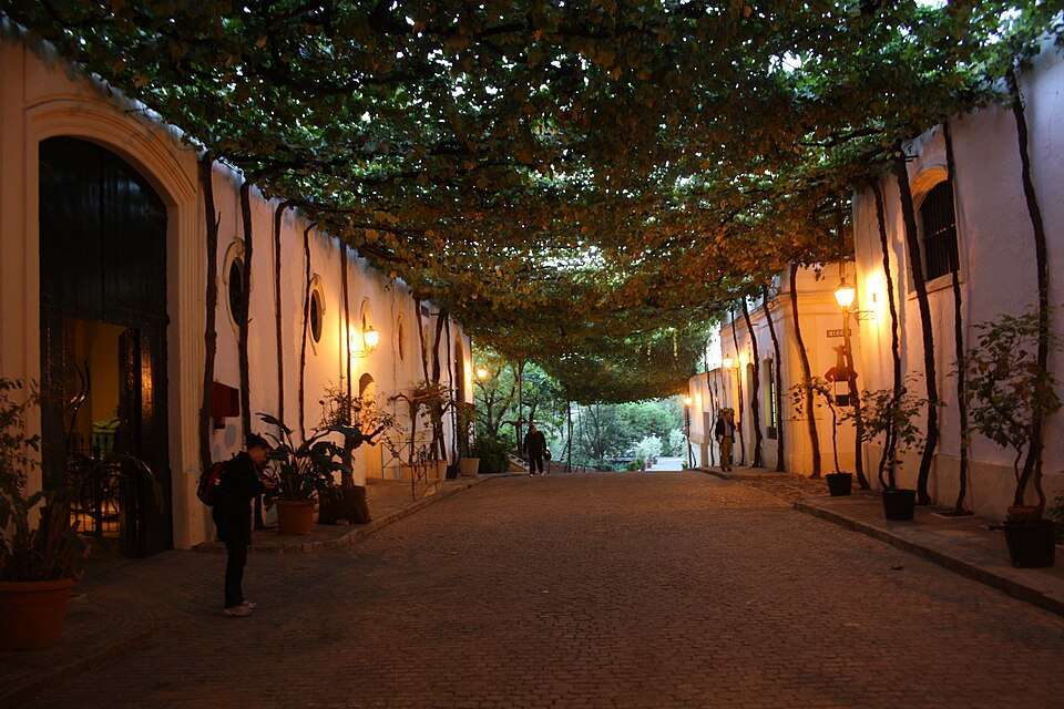 Vine-shaded bodega lane in Jerez de la Frontera