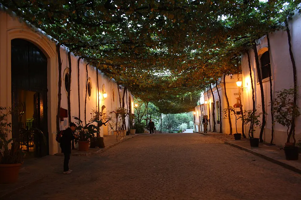 Vine-shaded bodega lane in Jerez de la Frontera